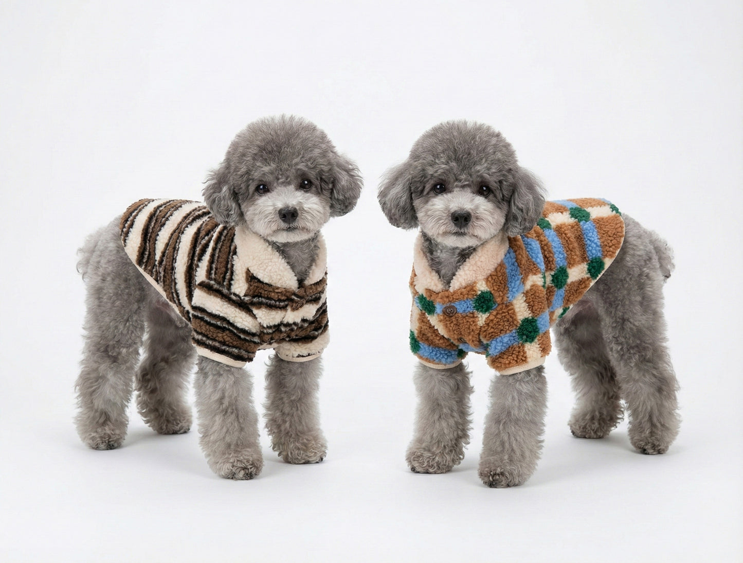 Two gray poodles wearing matching sherpa fleece dog cardigans as couple outfit front view