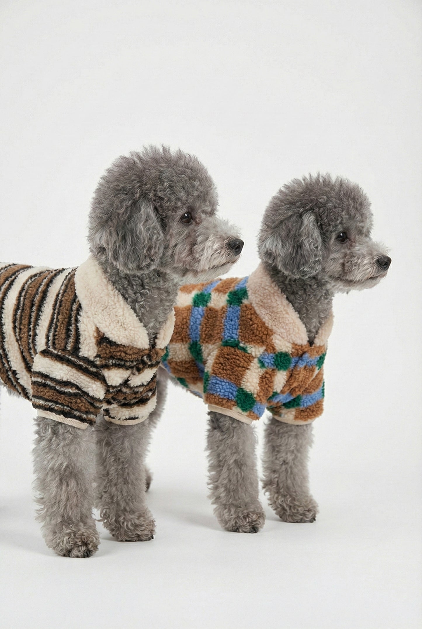 Two gray poodles wearing matching sherpa fleece dog cardigans as couple outfit side view