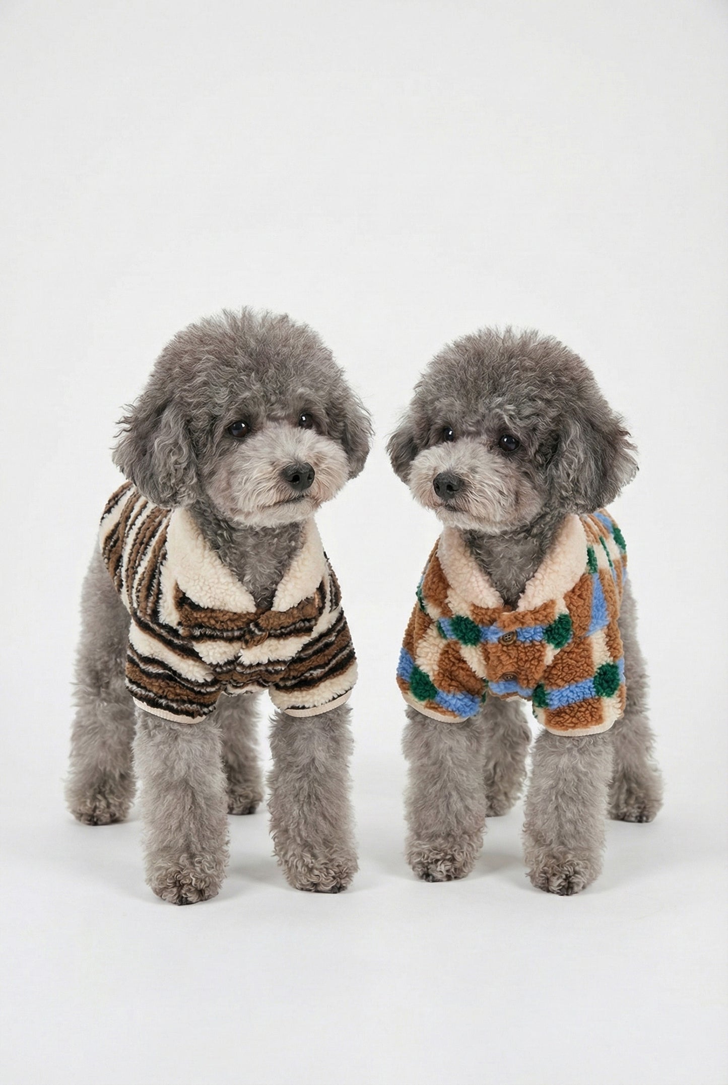 Close-up of two gray poodles wearing matching sherpa fleece dog cardigans front view