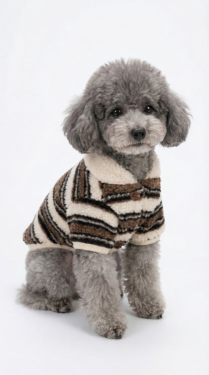 Gray poodle wearing brown striped sherpa fleece dog cardigan sitting on white background