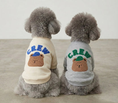 Two grey poodles wearing matching teddy bear dog sweatshirts in cream and grey