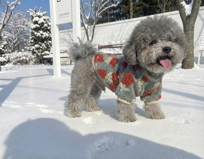 Gray poodle wearing coral floral embroidery sherpa fleece dog sweater in snow