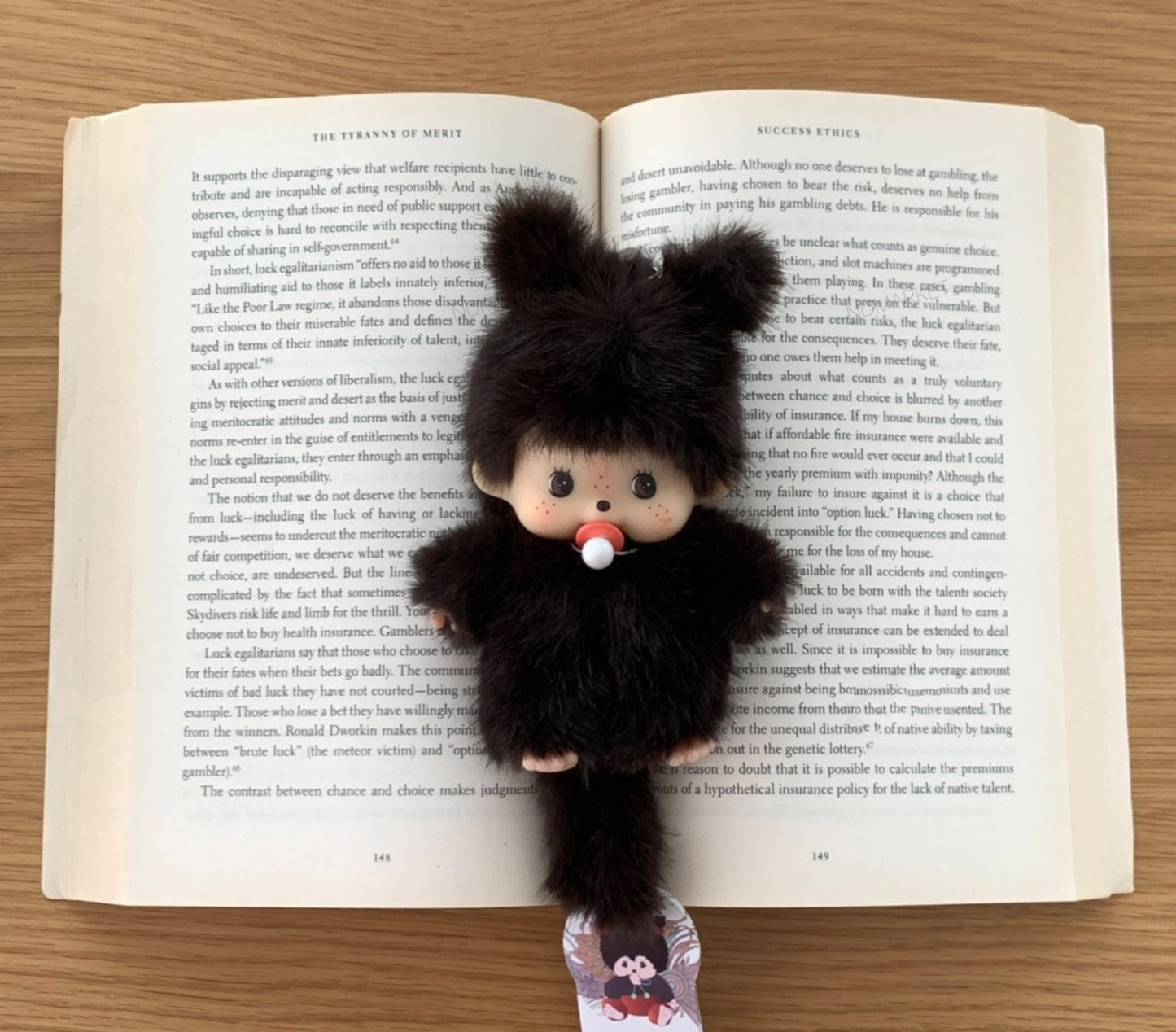 Furry black doll with red pacifier laid on top of an open English book, styled as a cozy desk or study scene.