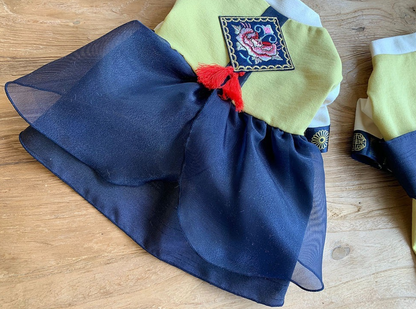 Korean Hanbok for Dogs - Traditional Pet Outfit