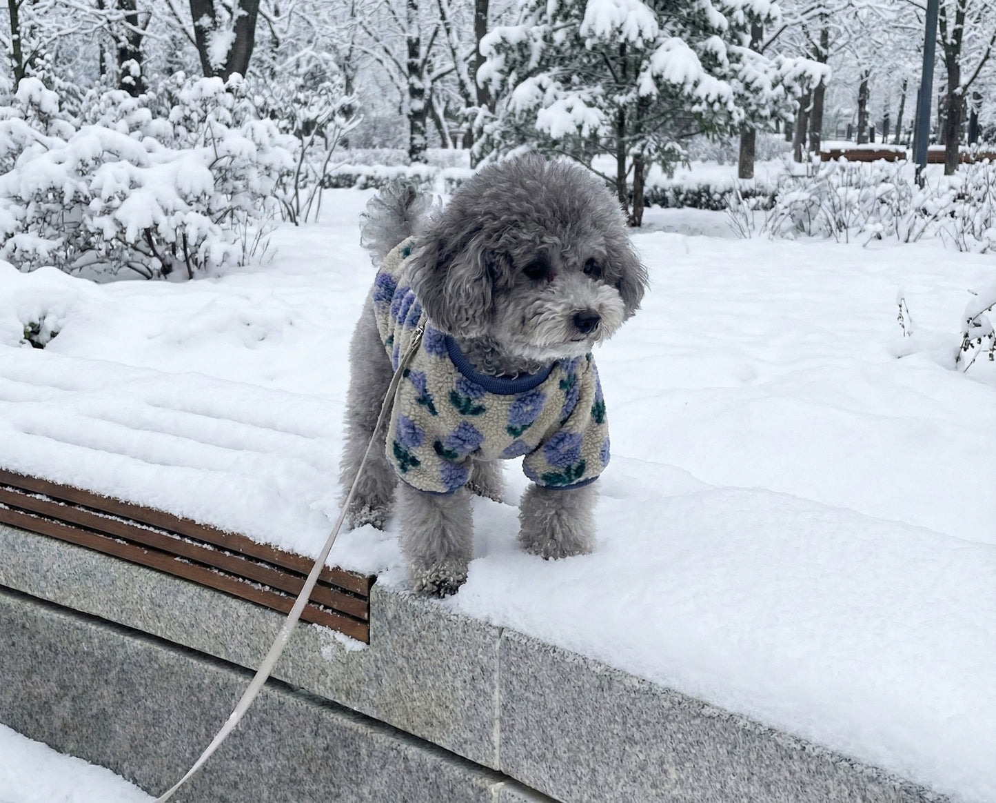 Floral Embroidery Dog Sherpa Fleece Sweater - Winter Pullover