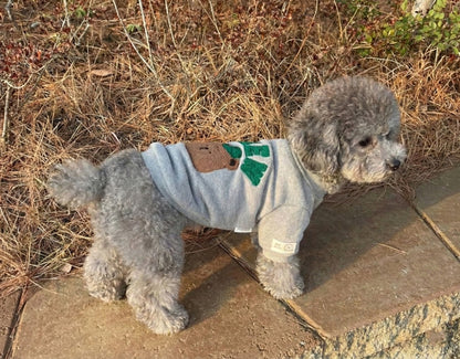  Grey dog wearing teddy bear crew neck sweatshirt with boucle embroidery