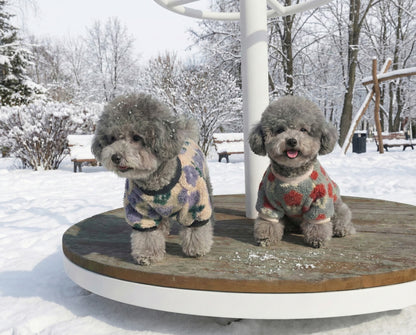 Two dogs on park bench wearing matching coral and purple floral winter sweaters