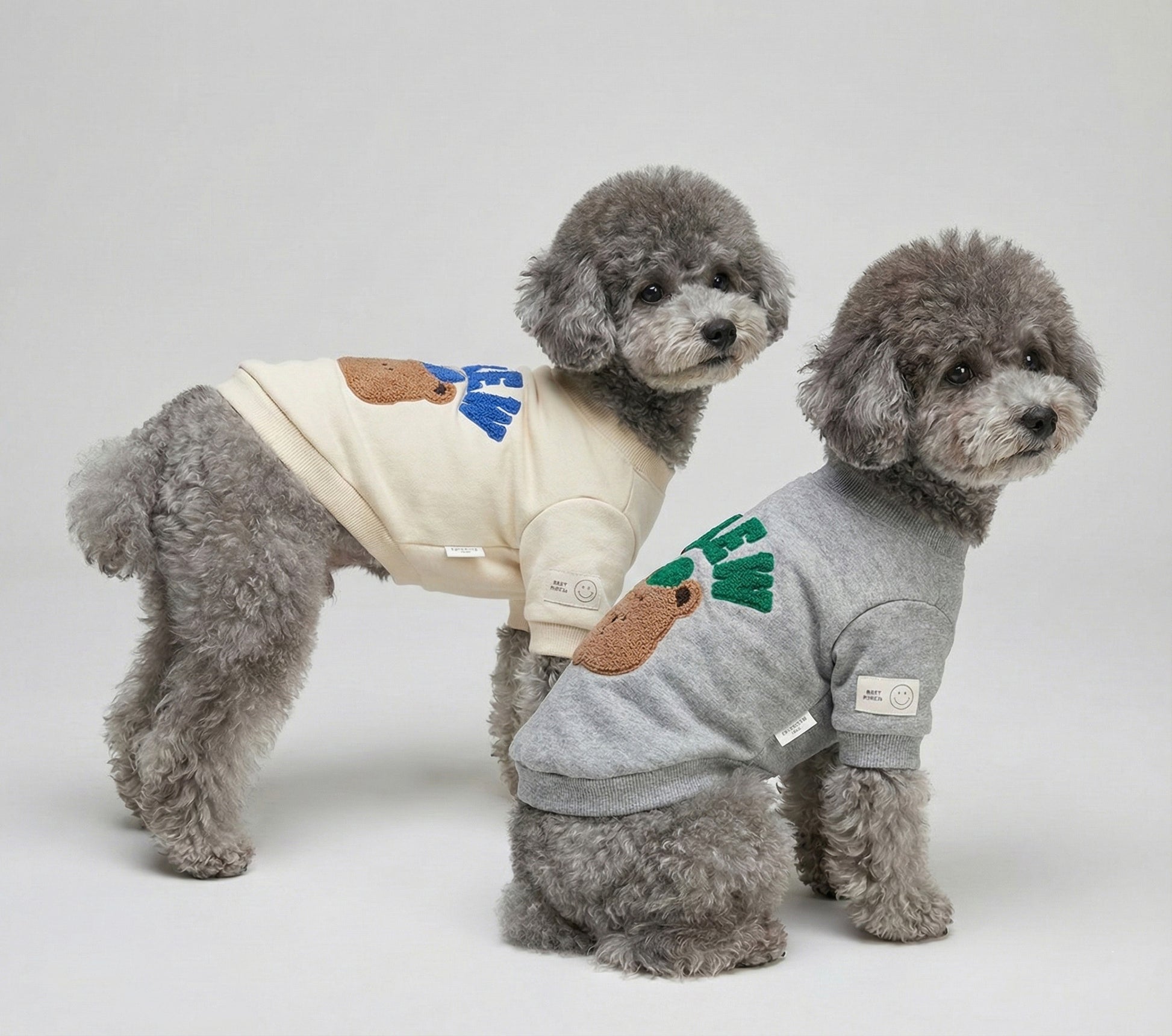 Front view of two poodles in matching CREW bear sweatshirts