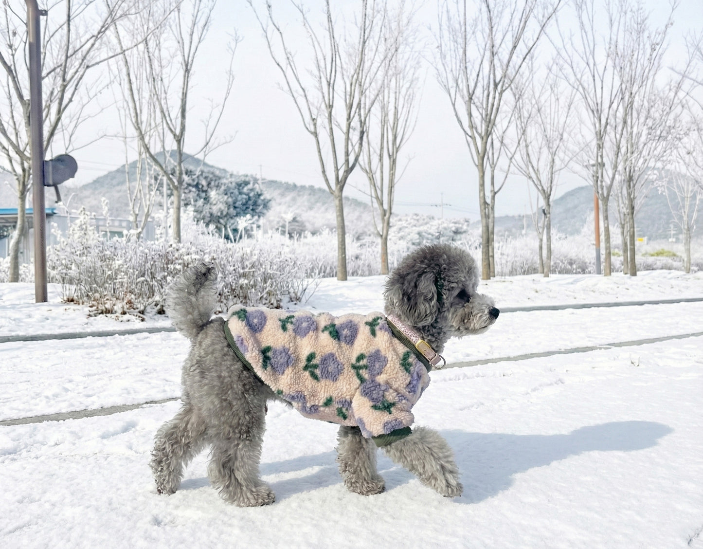 Floral Embroidery Dog Sherpa Fleece Sweater - Winter Pullover