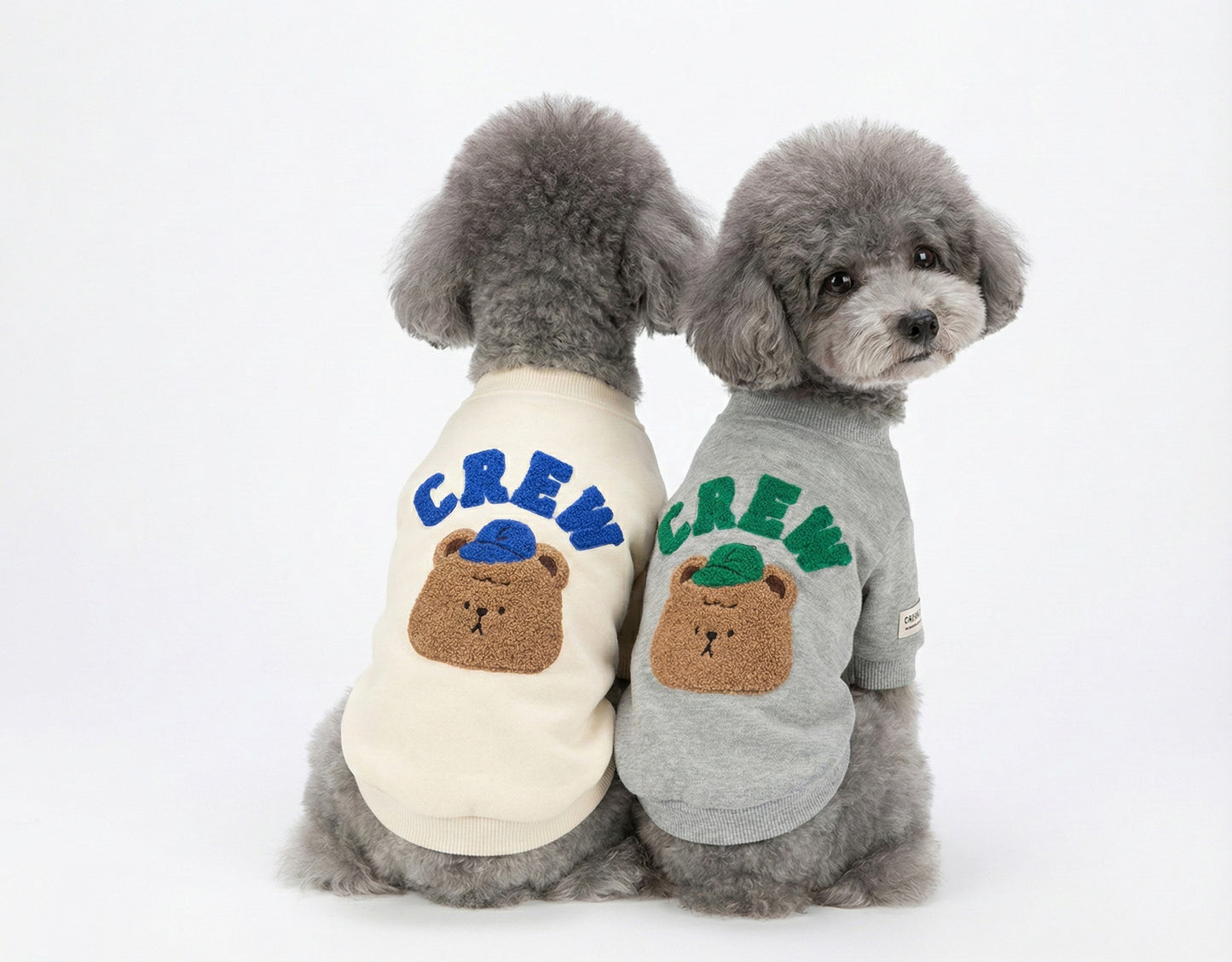 Back view of dogs showing teddy bear embroidery detail on sweatshirts