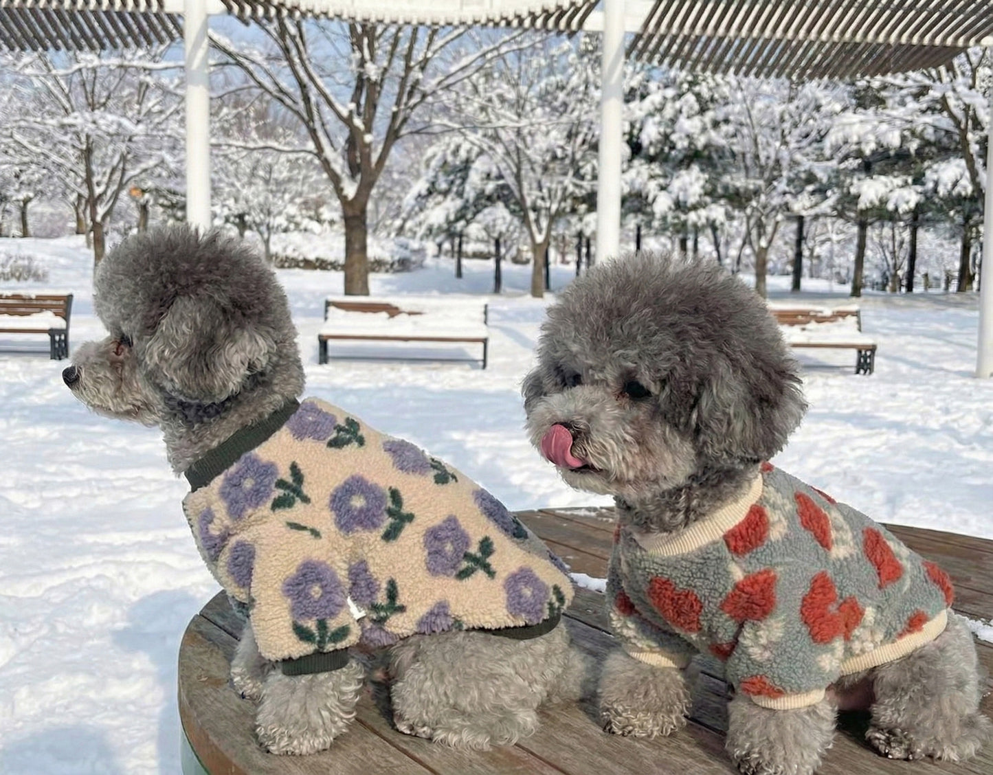 Floral Embroidery Dog Sherpa Fleece Sweater - Winter Pullover