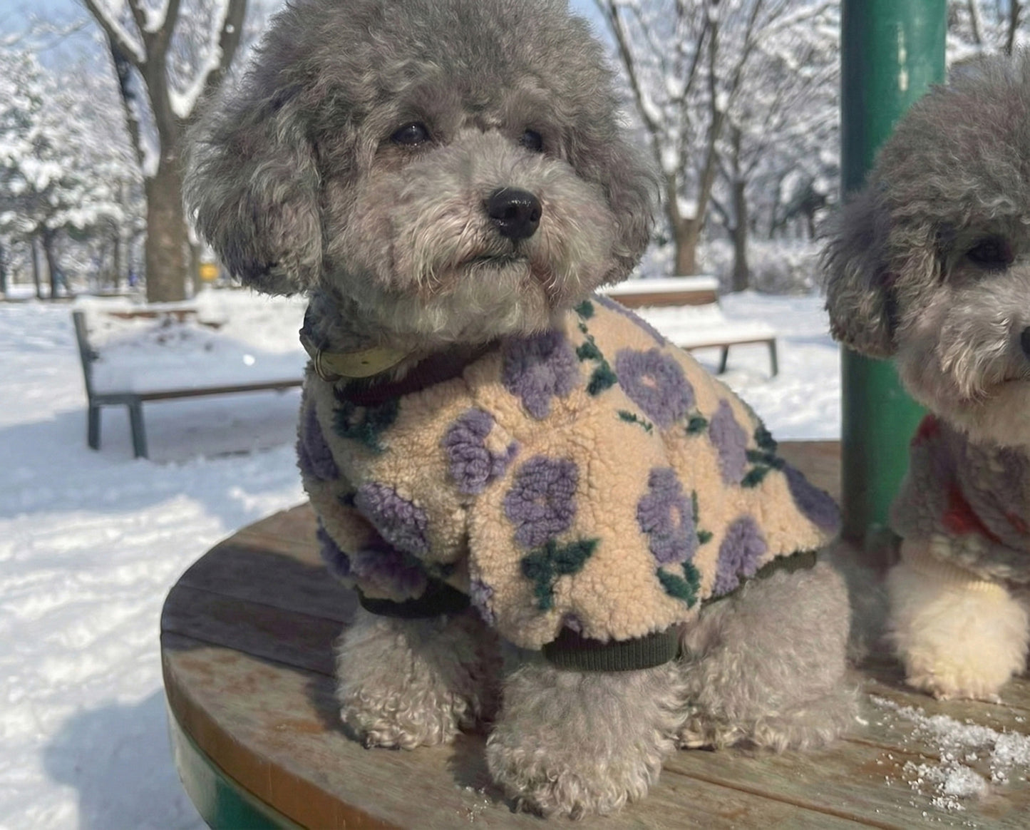 Floral Embroidery Dog Sherpa Fleece Sweater - Winter Pullover