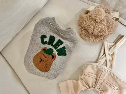 Flatlay of grey teddy bear dog sweatshirt with boucle embroidery
