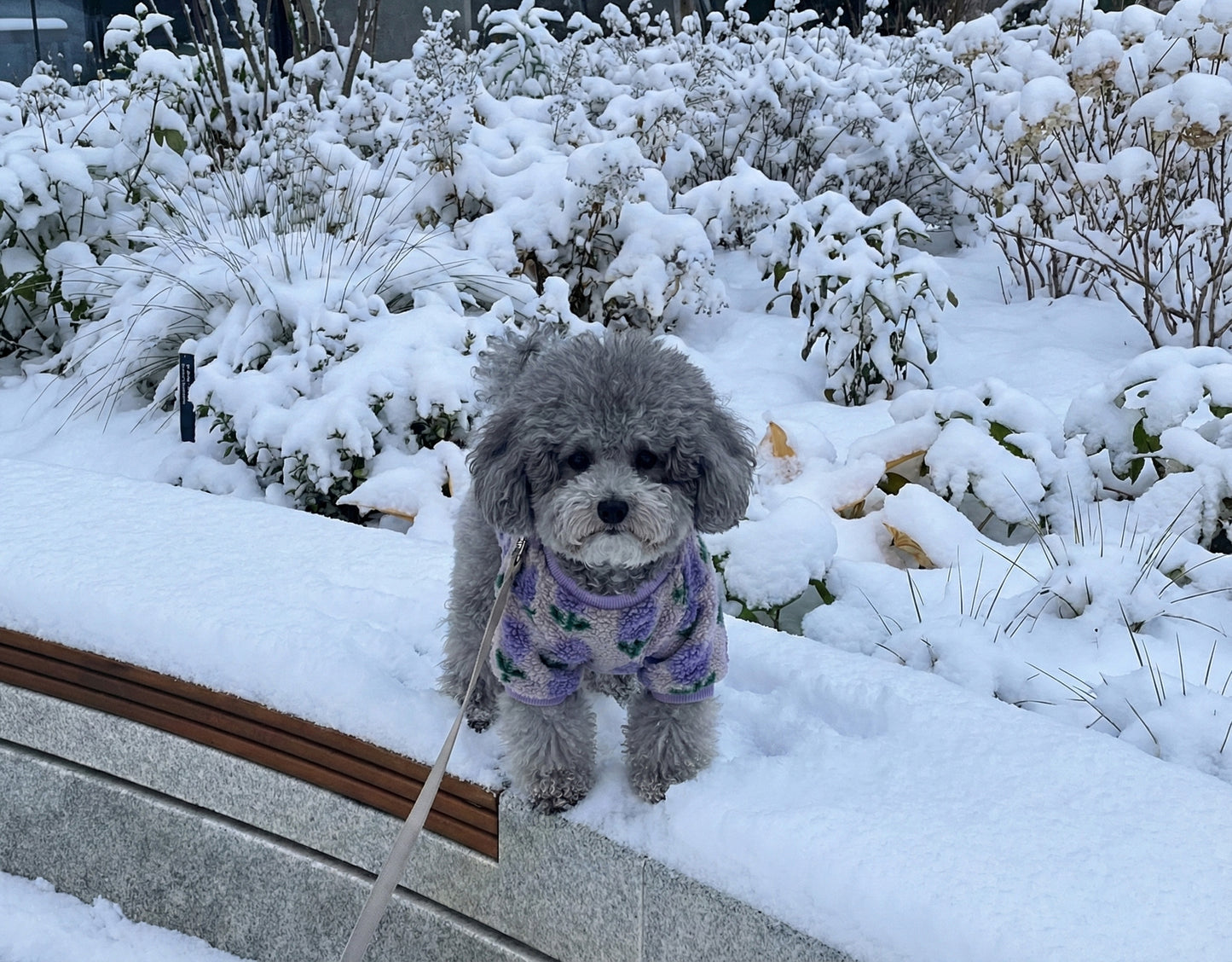 Floral Embroidery Dog Sherpa Fleece Sweater - Winter Pullover