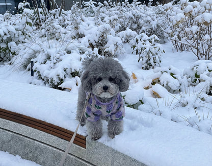 Floral Embroidery Dog Sherpa Fleece Sweater - Winter Pullover