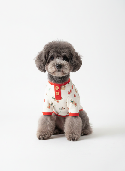 Another gray poodle wearing the red-trimmed shirt, sitting straight and looking slightly to the side, captured on a white seamless background.