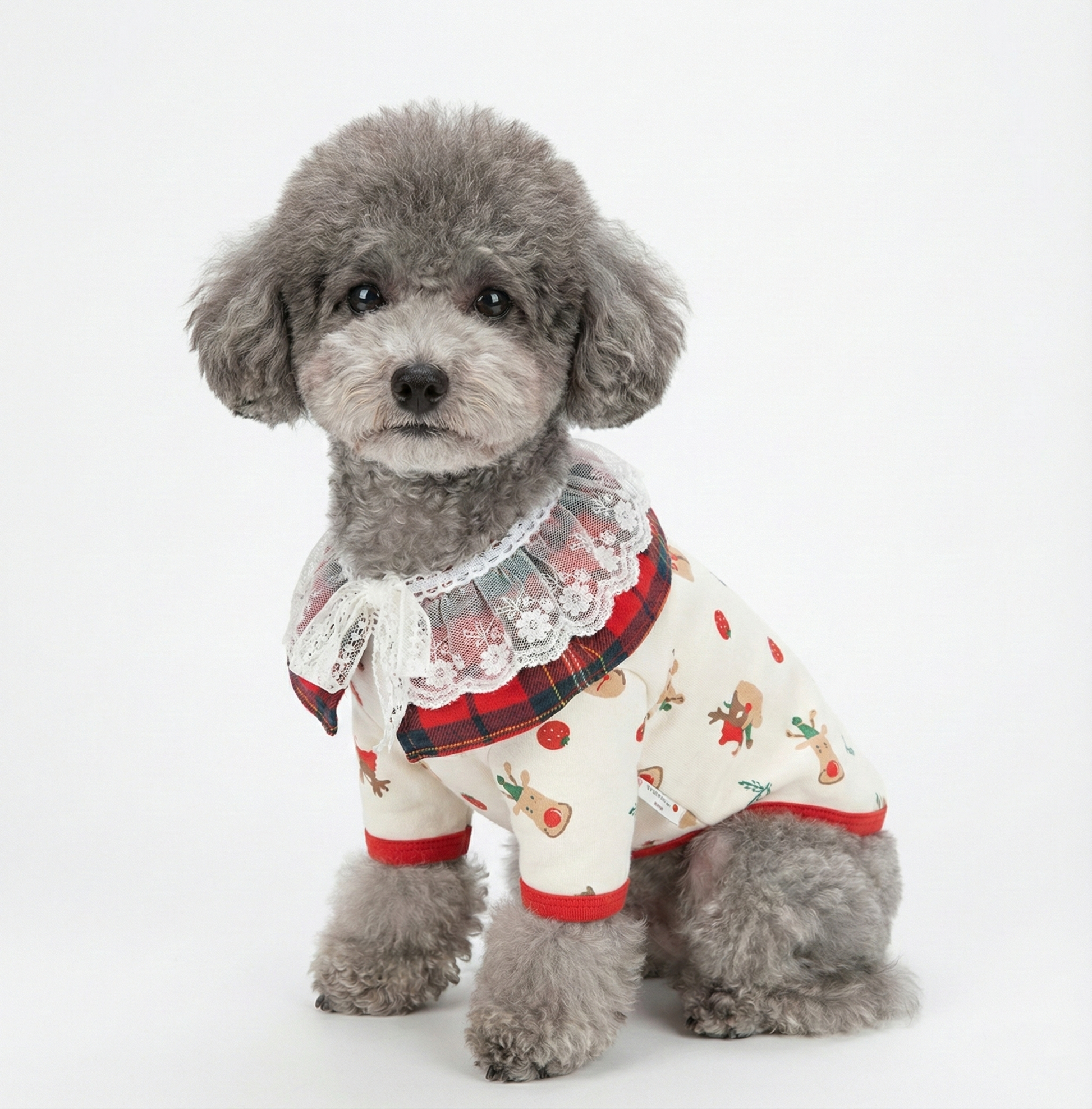 A gray poodle wearing a festive cream shirt with red trim and reindeer prints, styled with the red plaid Merry Happy Cape. Posed on a white background.