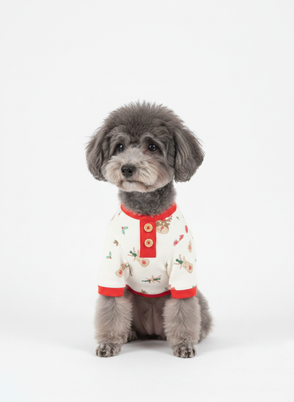 A fluffy gray poodle wearing the red-trimmed Christmas shirt, sitting on a white background with a calm and relaxed expression.
