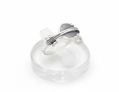 Silver violin ring displayed on clear stand, detailed strings visible.
