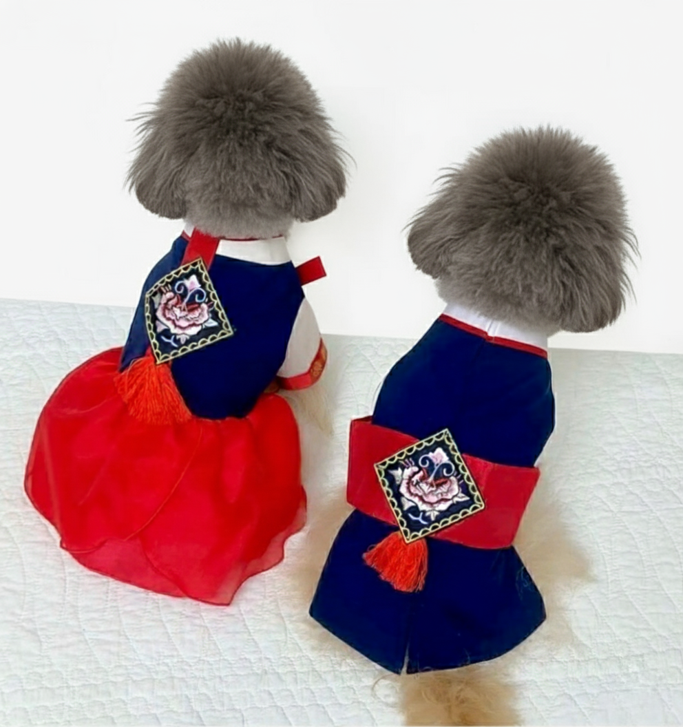 Korean Hanbok for Dogs - Traditional Pet Outfit