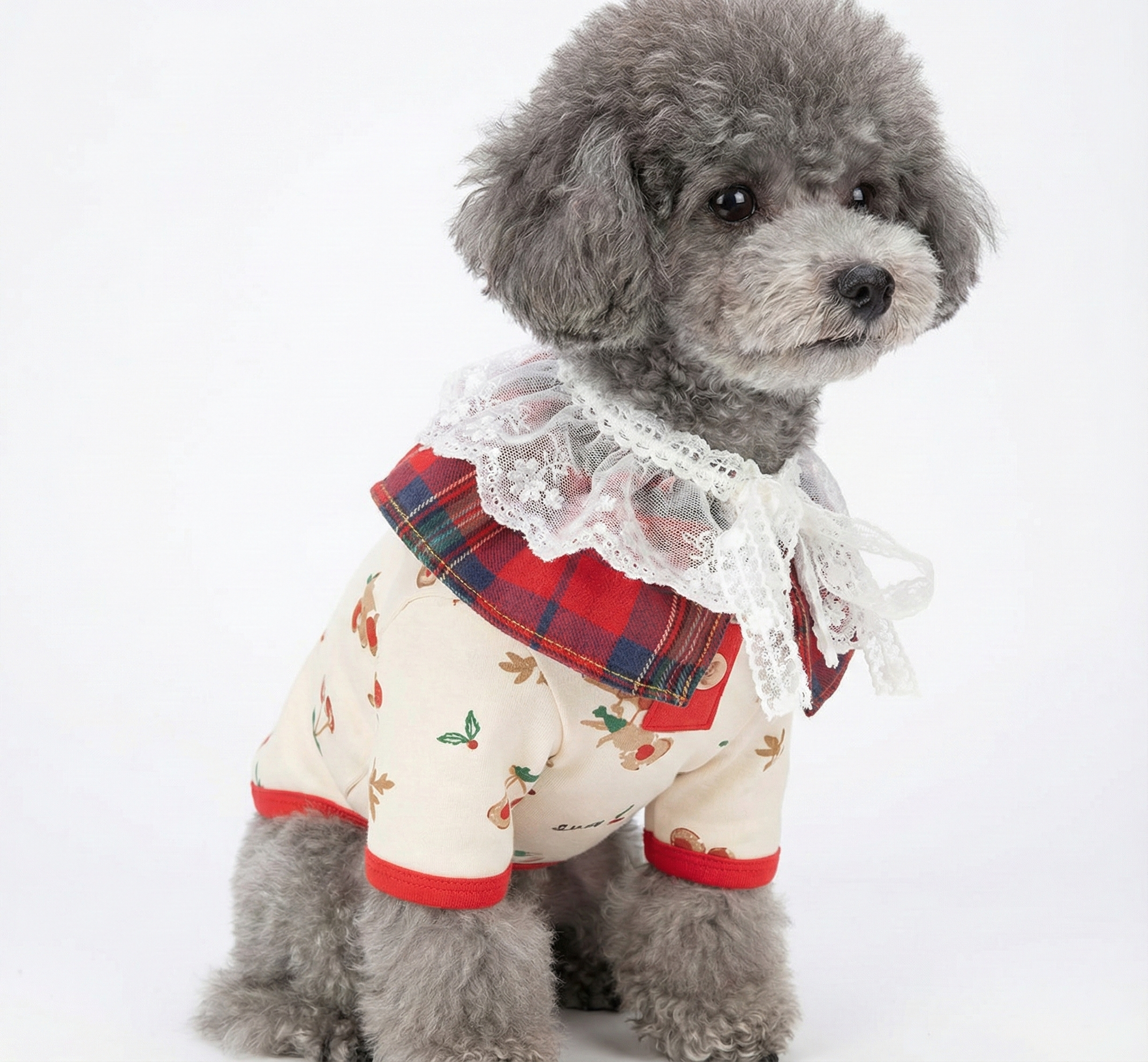 A side-profile of the same dog wearing the cream holiday shirt under the red cape. The layered holiday look shows well against the white backdrop.