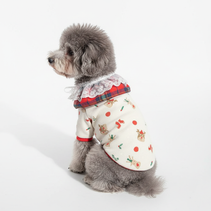 Christmas Check Lace Cape for Dogs – Red & Green