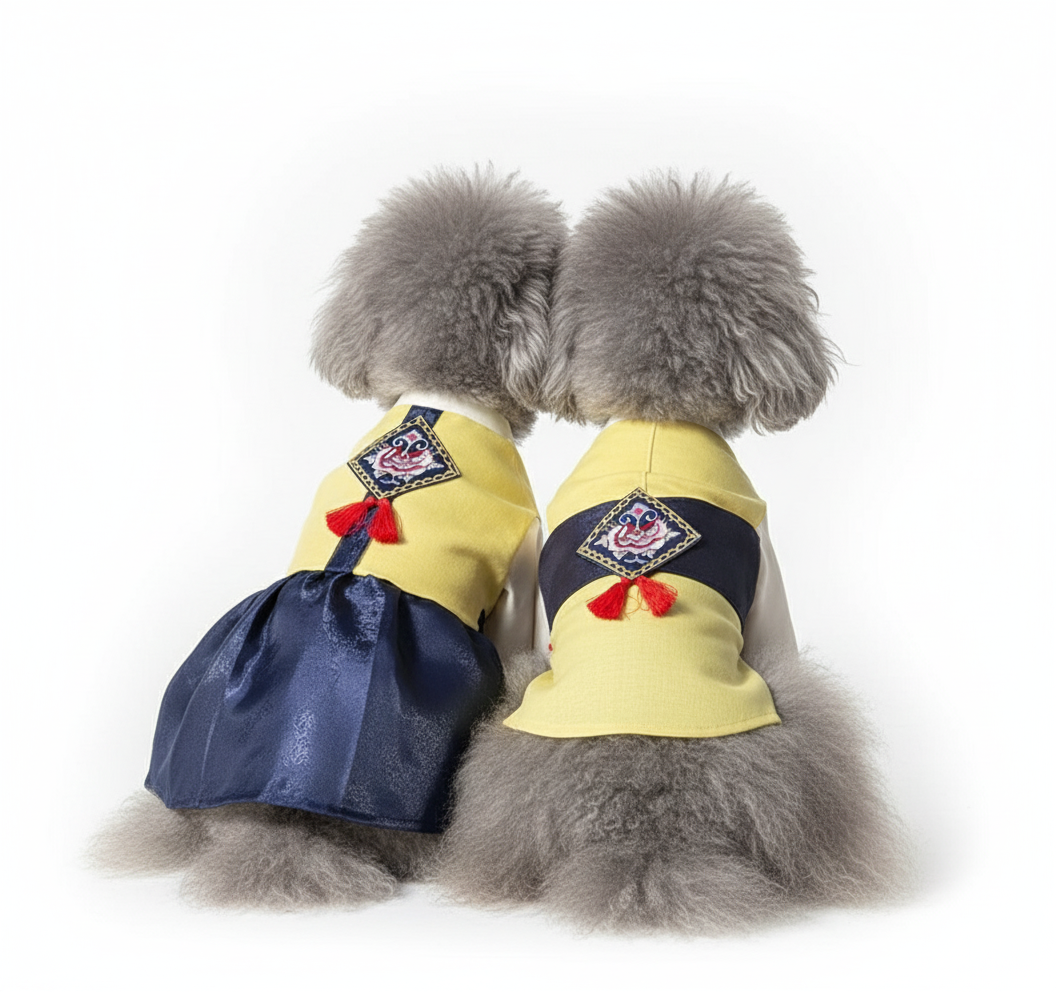 Korean Hanbok for Dogs - Traditional Pet Outfit