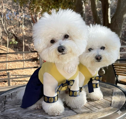 Korean Hanbok for Dogs - Traditional Pet Outfit