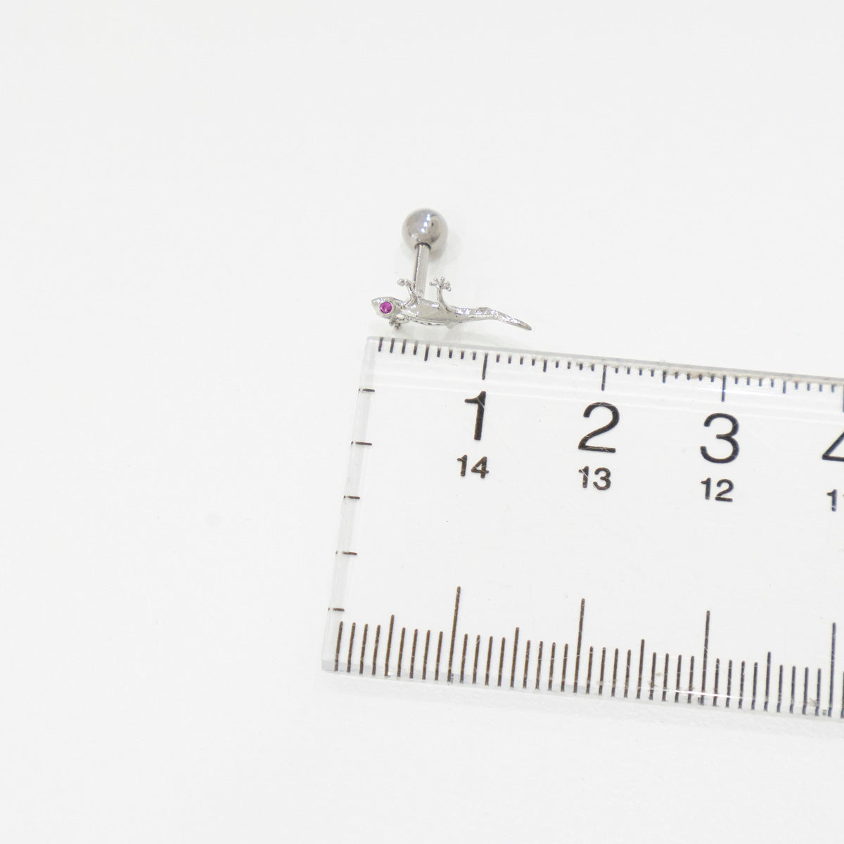 Gecko lizard piercing size measurement with ruler showing approximately 10mm length, tiny animal stud dimensions